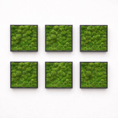 Tableaux végétaux naturels stabilisés 