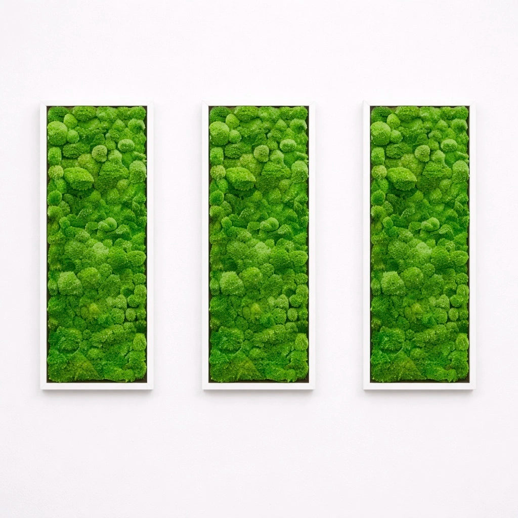 tableaux végétaux naturels stabilisés 