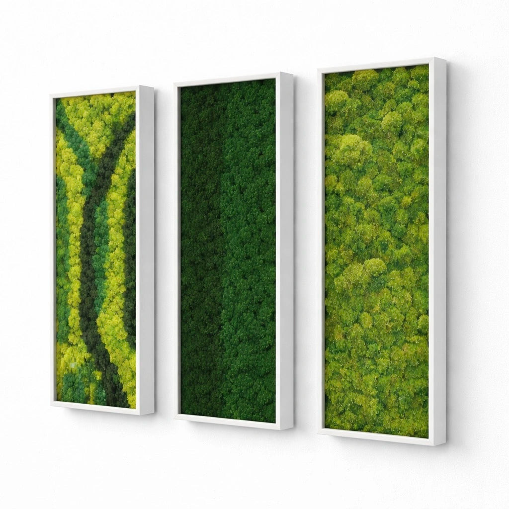 tableaux végétaux naturels stabilisés 