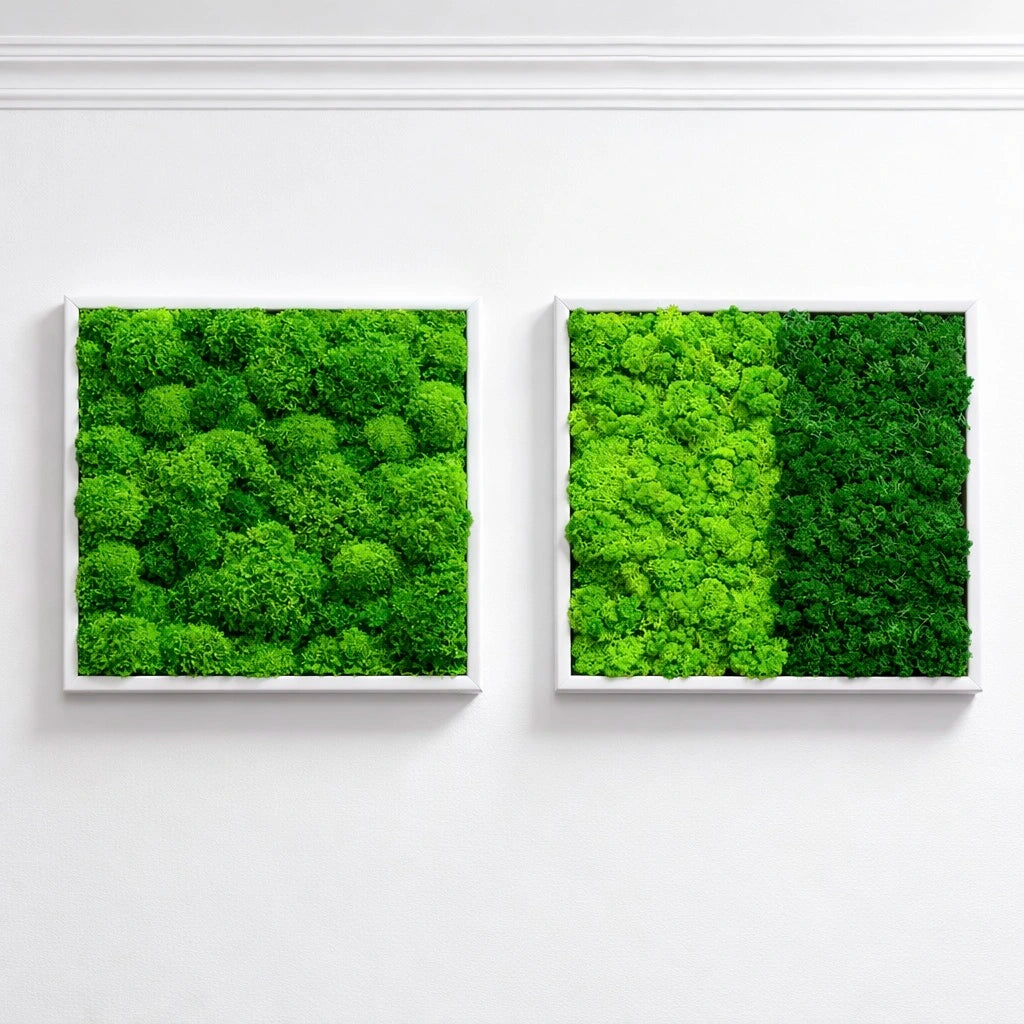 tableaux végétaux naturels stabilisés 