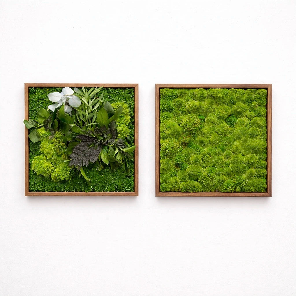 Tableaux végétaux naturels stabilisés 