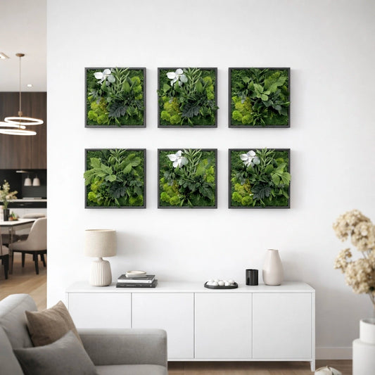 Tableaux végétaux naturels stabilisés 