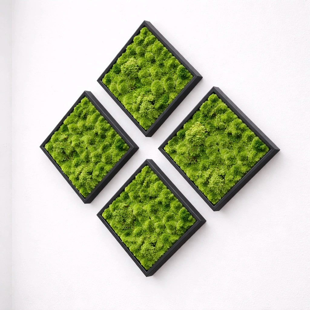 Tableaux végétaux naturels stabilisés 