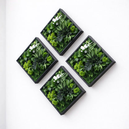 Tableaux végétaux naturels stabilisés 