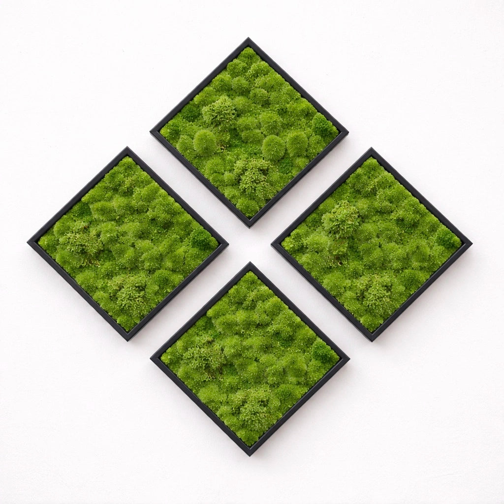 Tableaux végétaux naturels stabilisés 