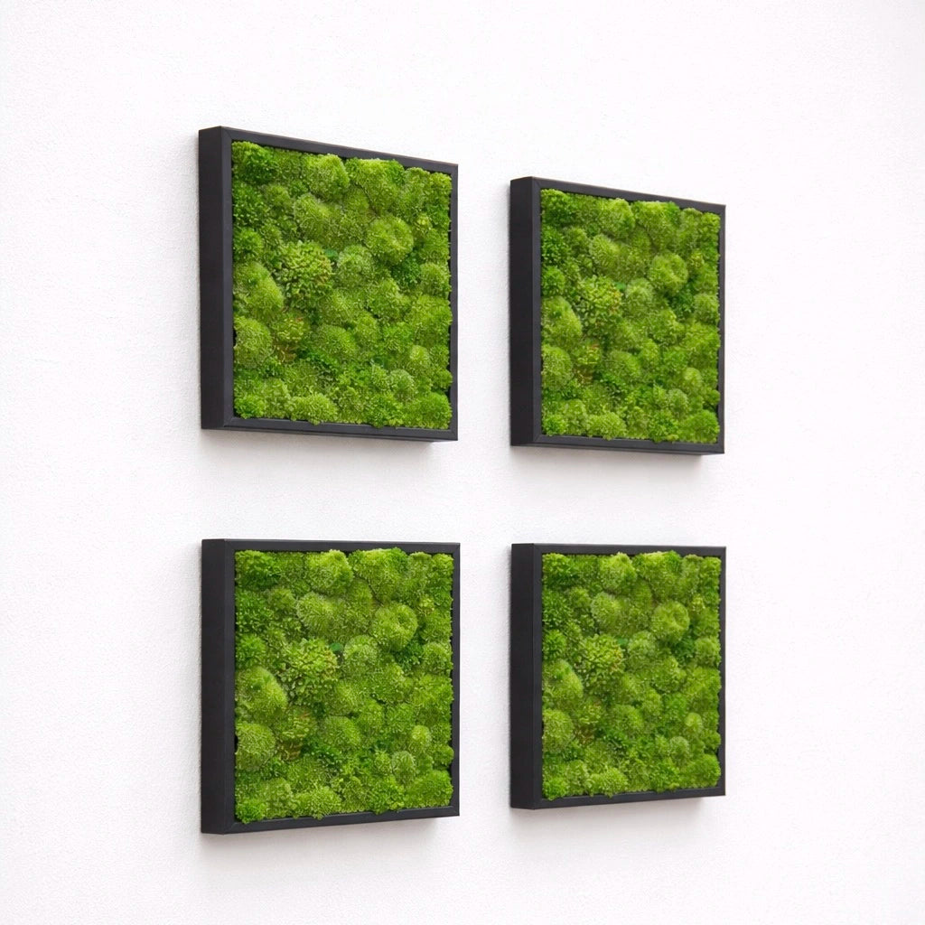 Tableaux végétaux naturels stabilisés 