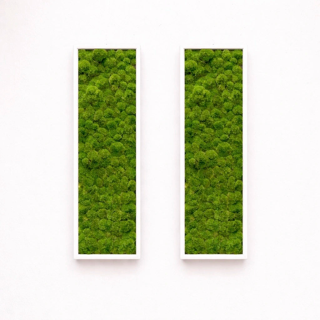 tableaux végétaux naturels stabilisés 