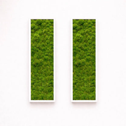 tableaux végétaux naturels stabilisés 