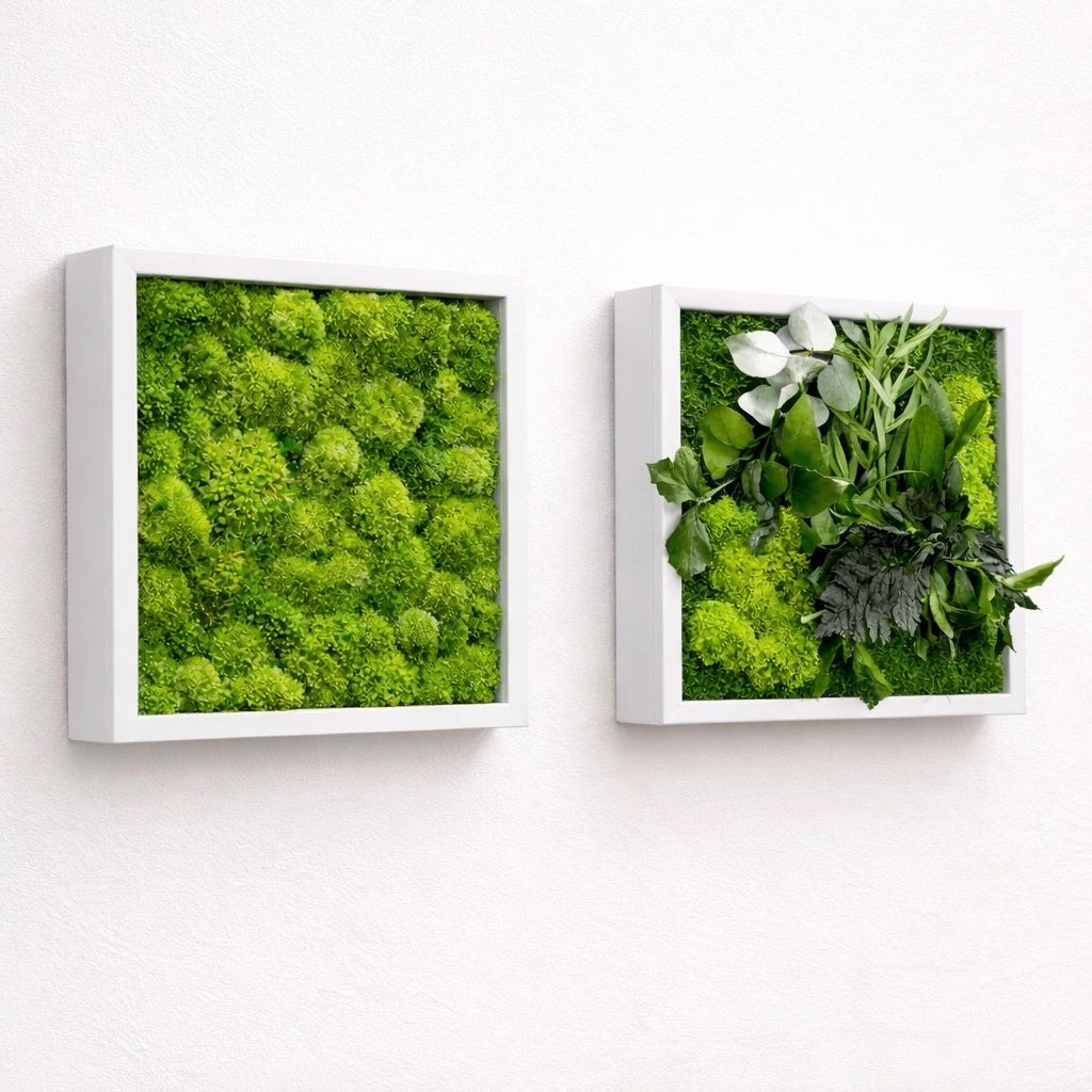 tableaux végétaux naturels stabilisés 