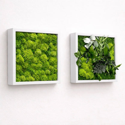 tableaux végétaux naturels stabilisés 