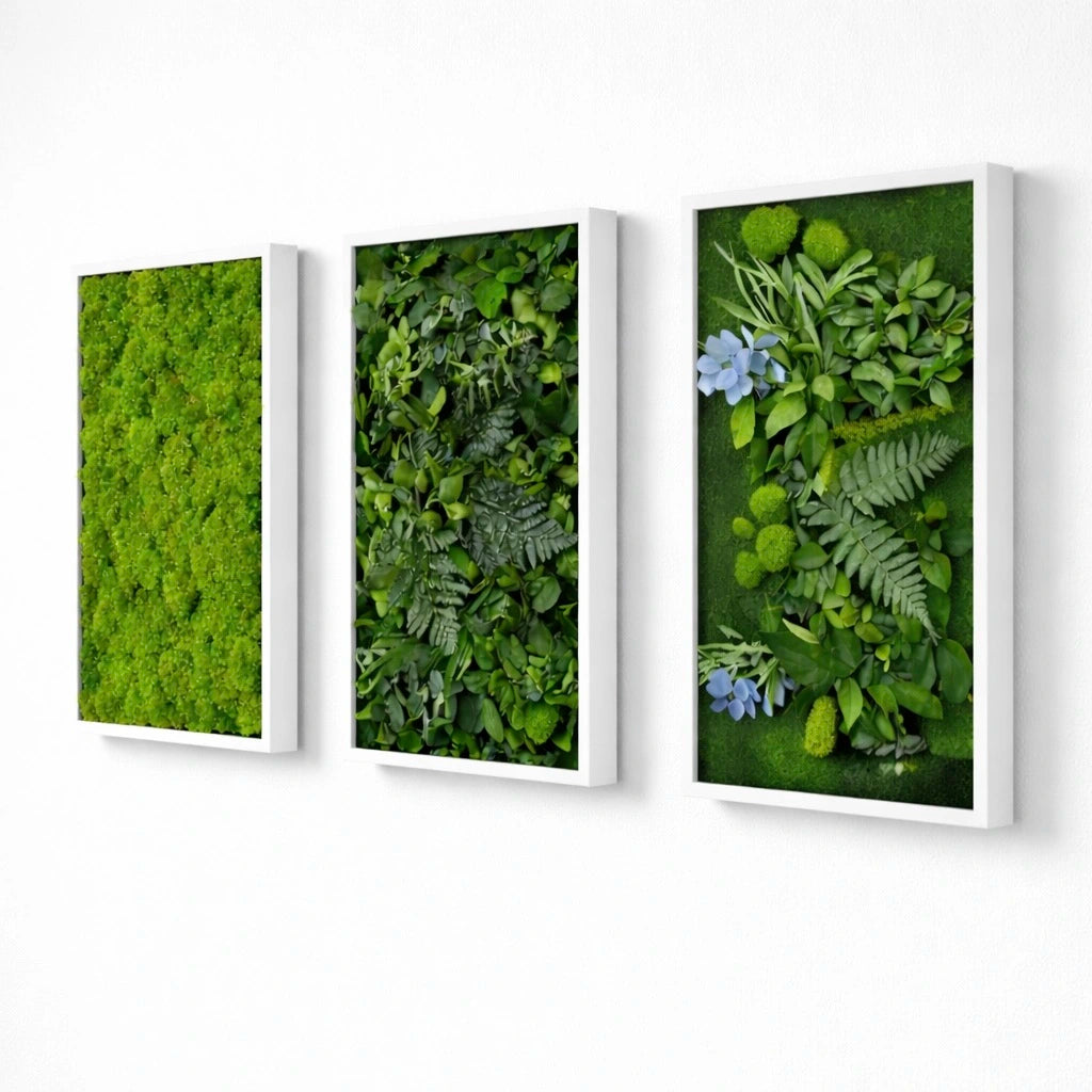 tableaux végétaux naturels stabilisés 