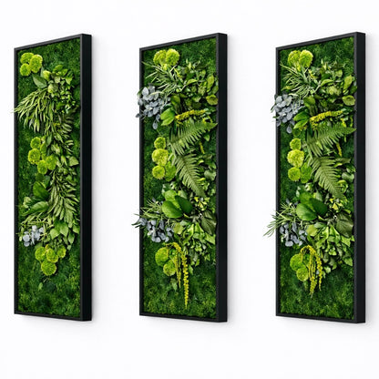 tableaux végétaux naturels stabilisés 