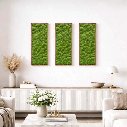 Tableaux végétaux naturels stabilisés 