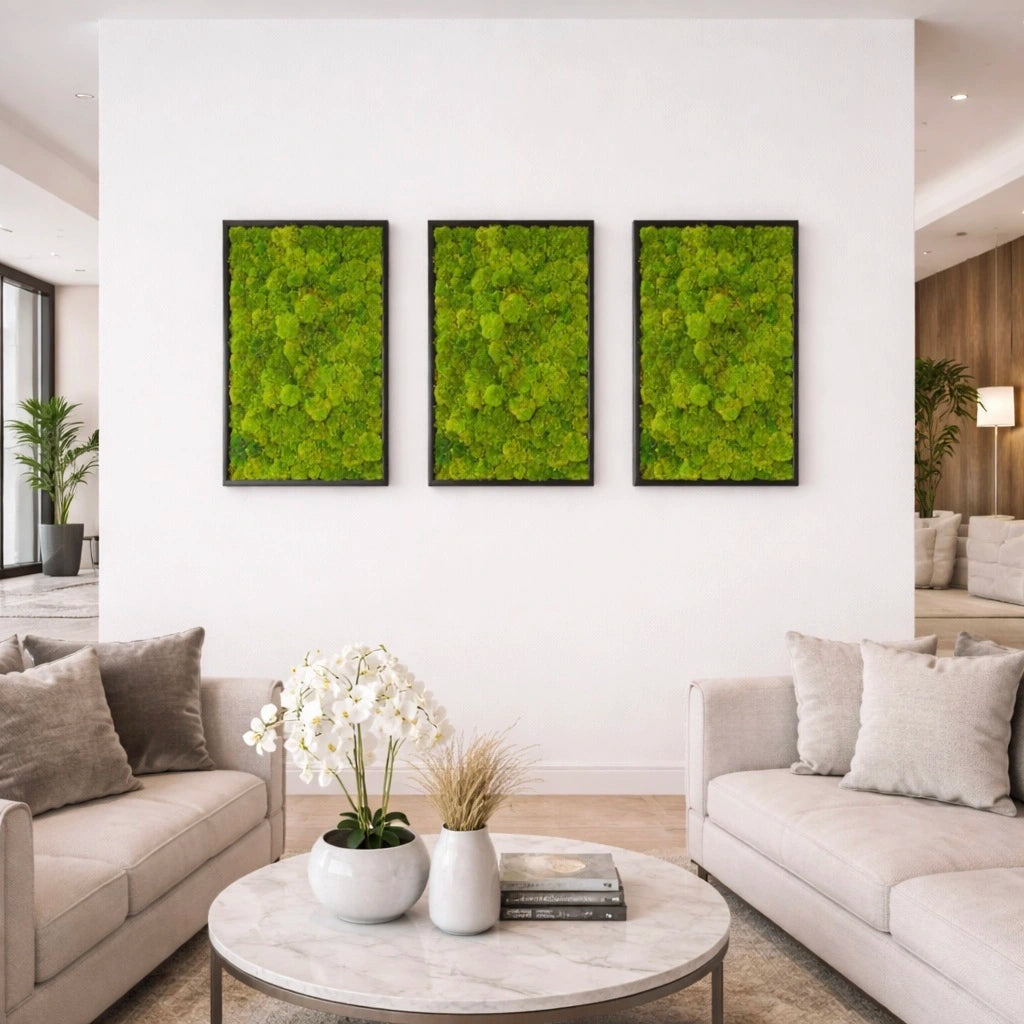 Tableaux végétaux naturels stabilisés 