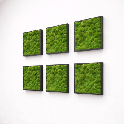 Tableaux végétaux naturels stabilisés 