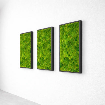 Tableaux végétaux naturels stabilisés 