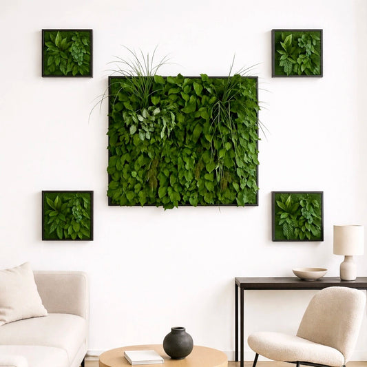 Tableaux végétaux naturels stabilisés 