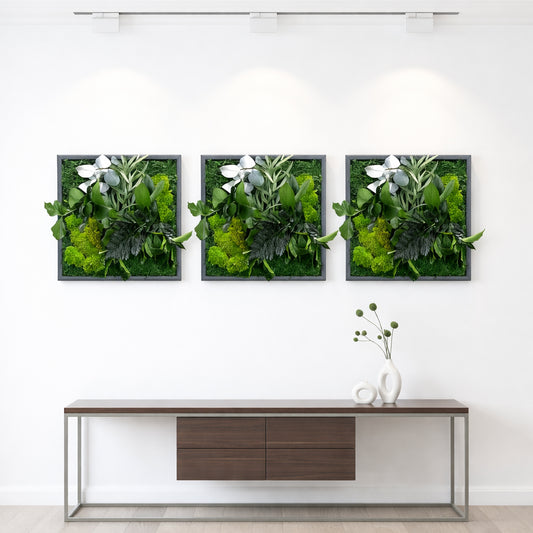 Tableaux végétaux naturels stabilisés 