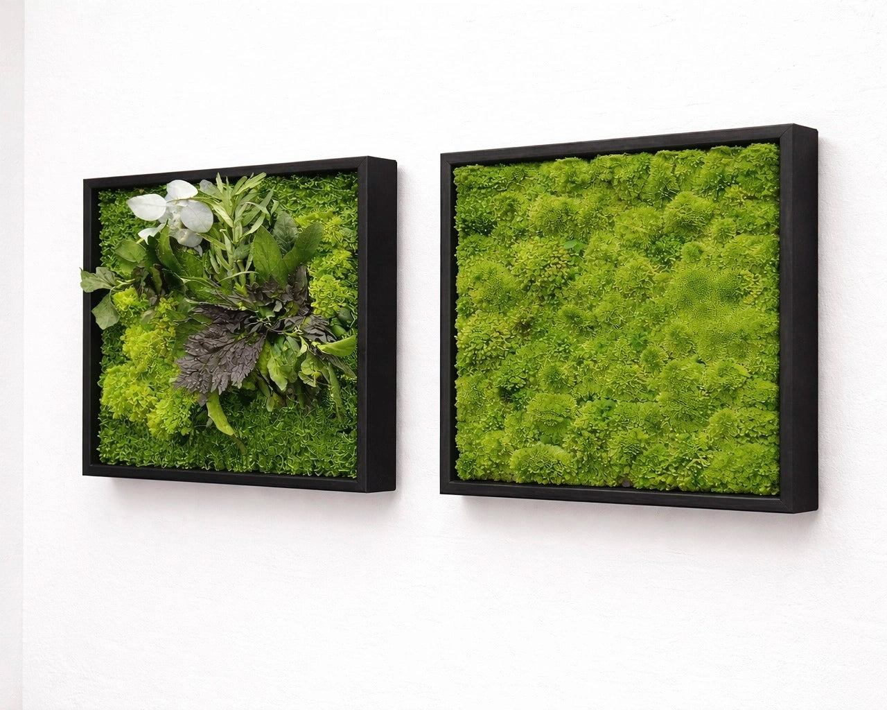 Tableaux végétaux naturels stabilisés 
