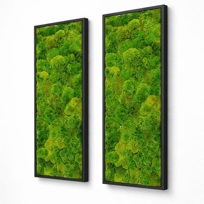 Tableaux végétaux naturels stabilisés 