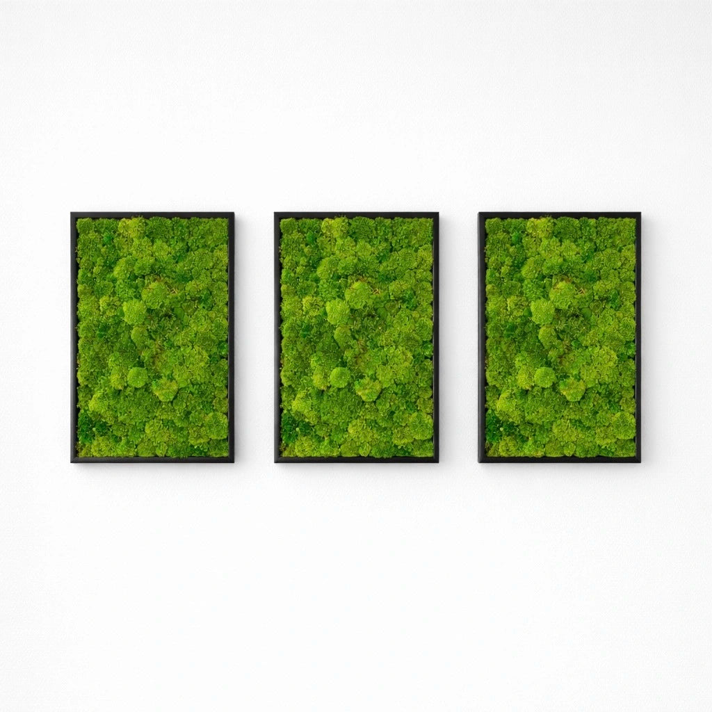 Tableaux végétaux naturels stabilisés 