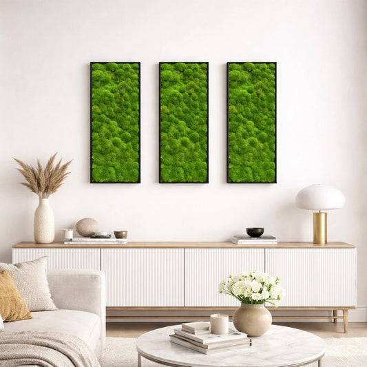 Tableaux végétaux naturels stabilisés 