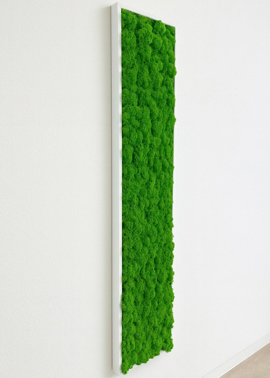 Design tableau végétal naturel stabilisé décoration intérieur 