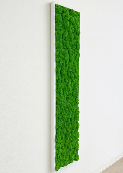 Design tableau végétal naturel stabilisé décoration intérieur 