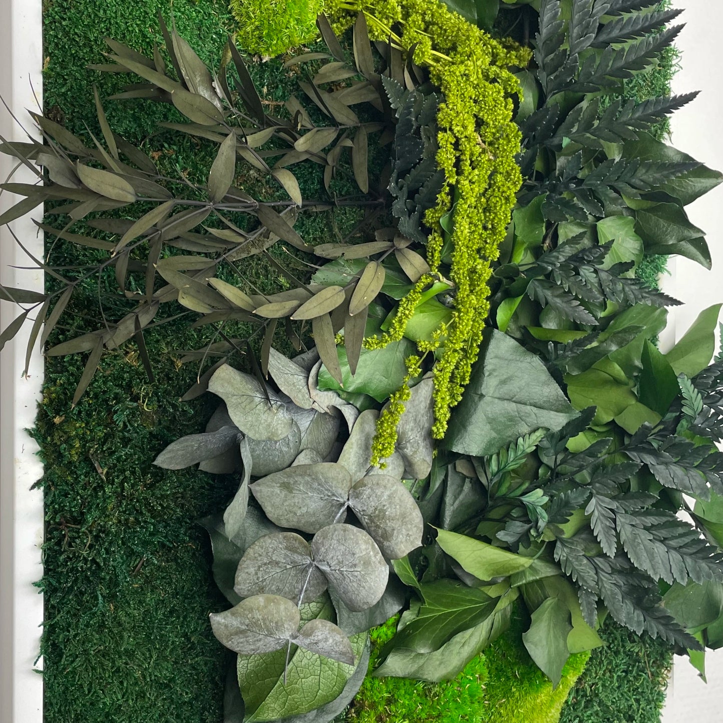 Composition of 4 natural preserved plant pictures - Bubble/Jungle/Forest/Lichen 115x40 cm