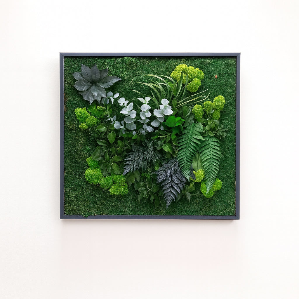 Tableaux murs intérieur décoration végétaux stabilisés 