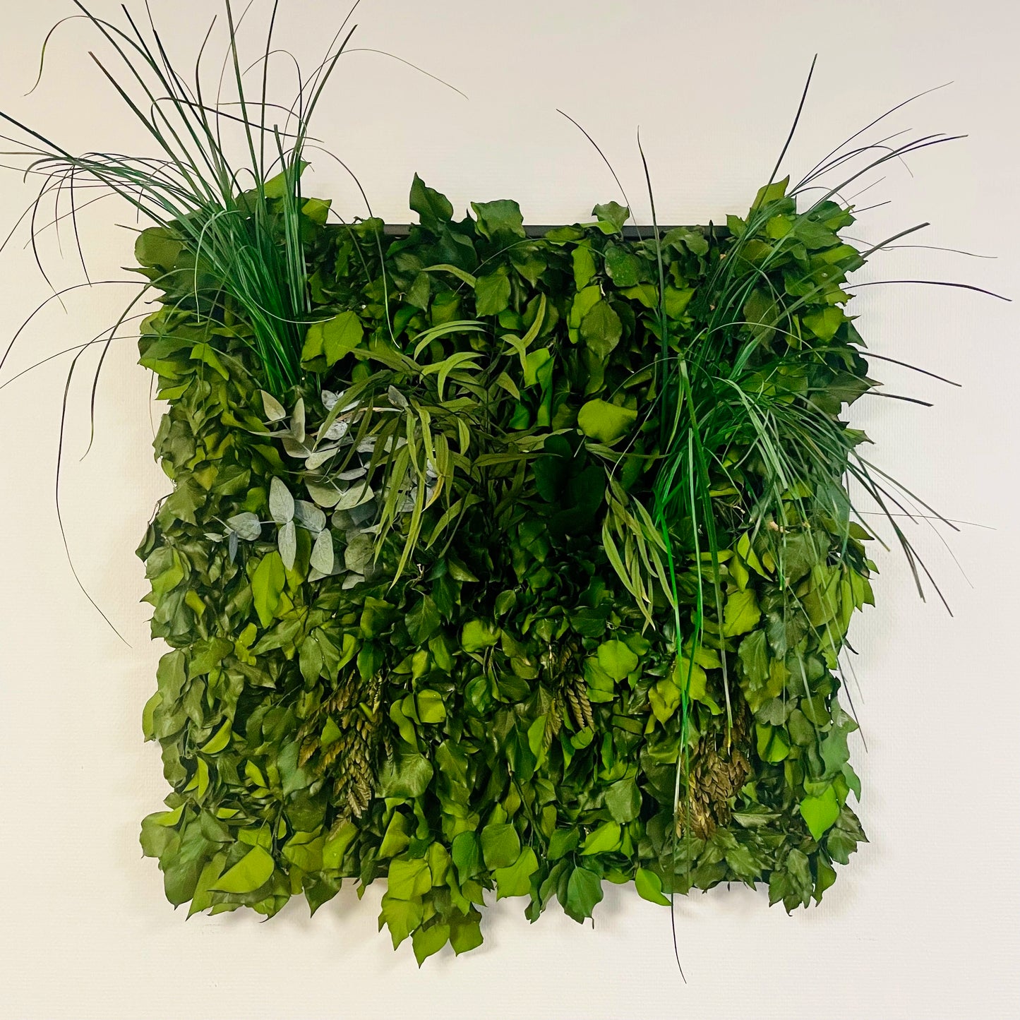 Tableaux murs intérieur décoration végétaux stabilisés 