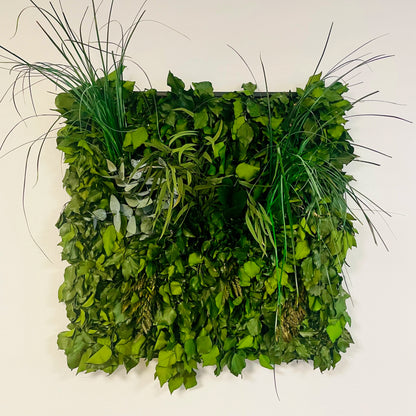 Tableaux murs intérieur décoration végétaux stabilisés 