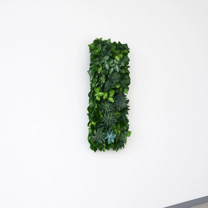 Intérieur tableau végétal décoration mur