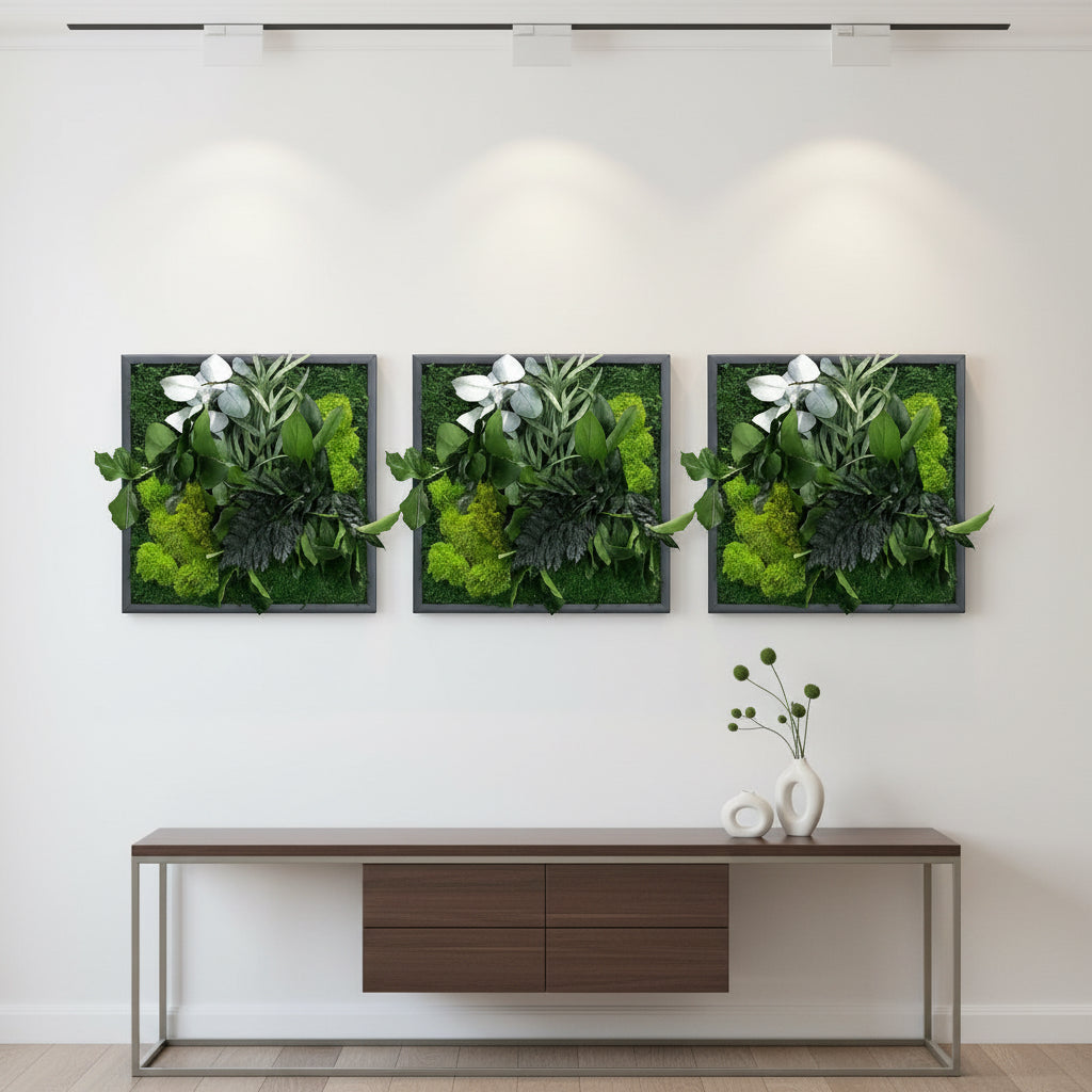 tableau végétal naturel stabilisé décoration intérieur 