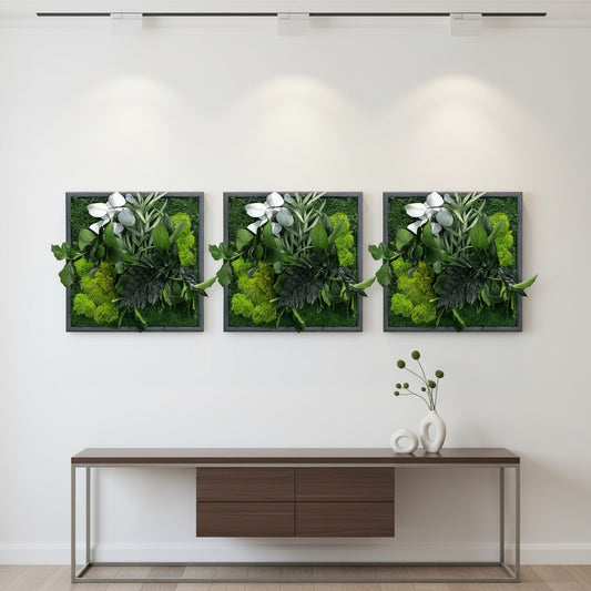 tableau végétal naturel stabilisé décoration intérieur 