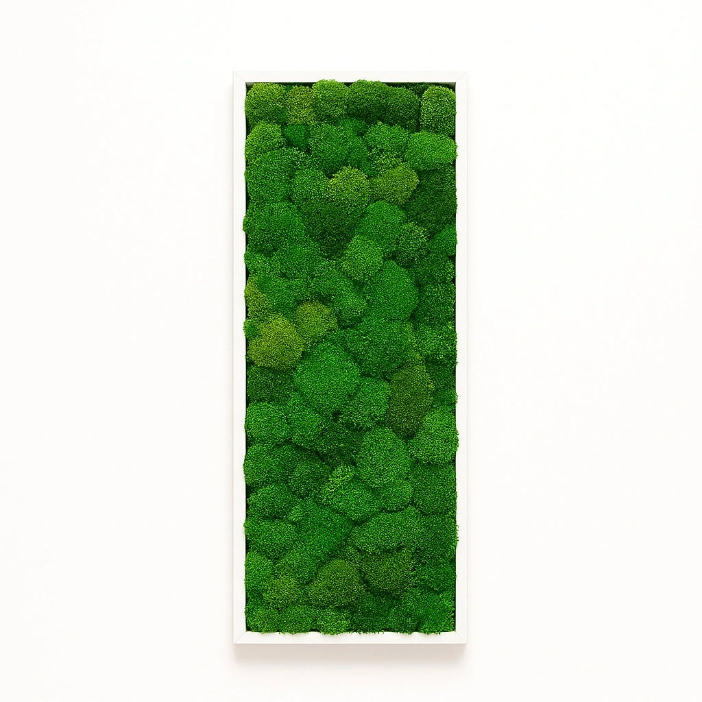 Tableaux murs intérieur décoration végétaux stabilisés 