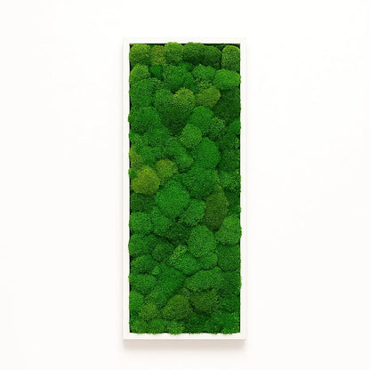 Tableaux murs intérieur décoration végétaux stabilisés 