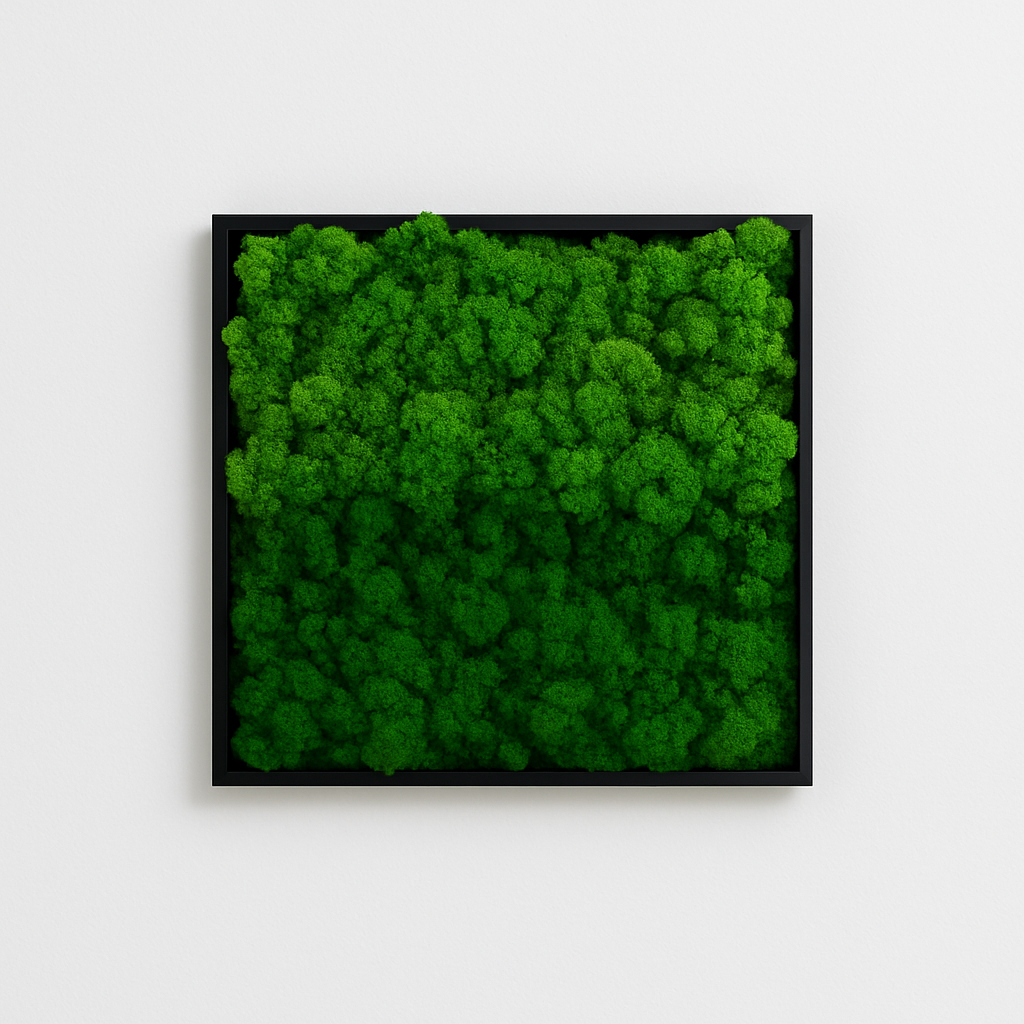 tableau végétal stabilisé