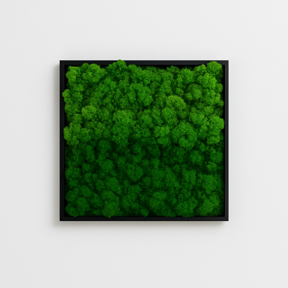 tableau végétal stabilisé