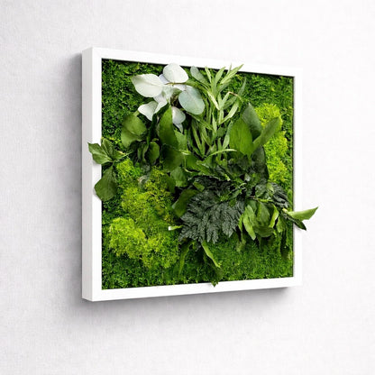 Tableau végétal naturel stabilisé 
