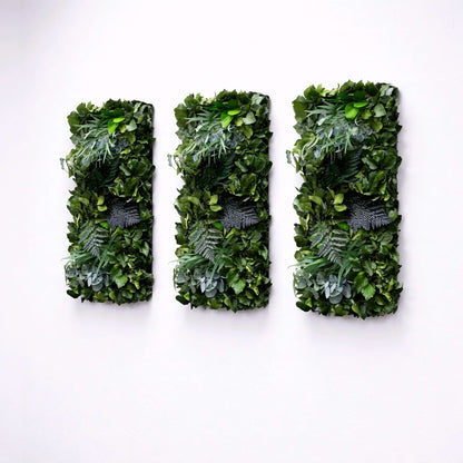Tableaux végétaux naturels stabilisés 