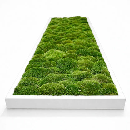 tableau végétal naturel stabilisé 