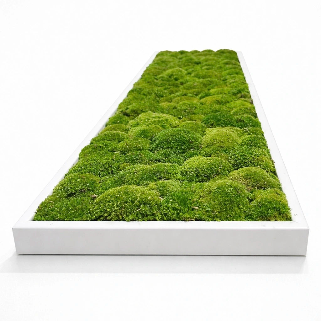 tableau végétal naturel stabilisé