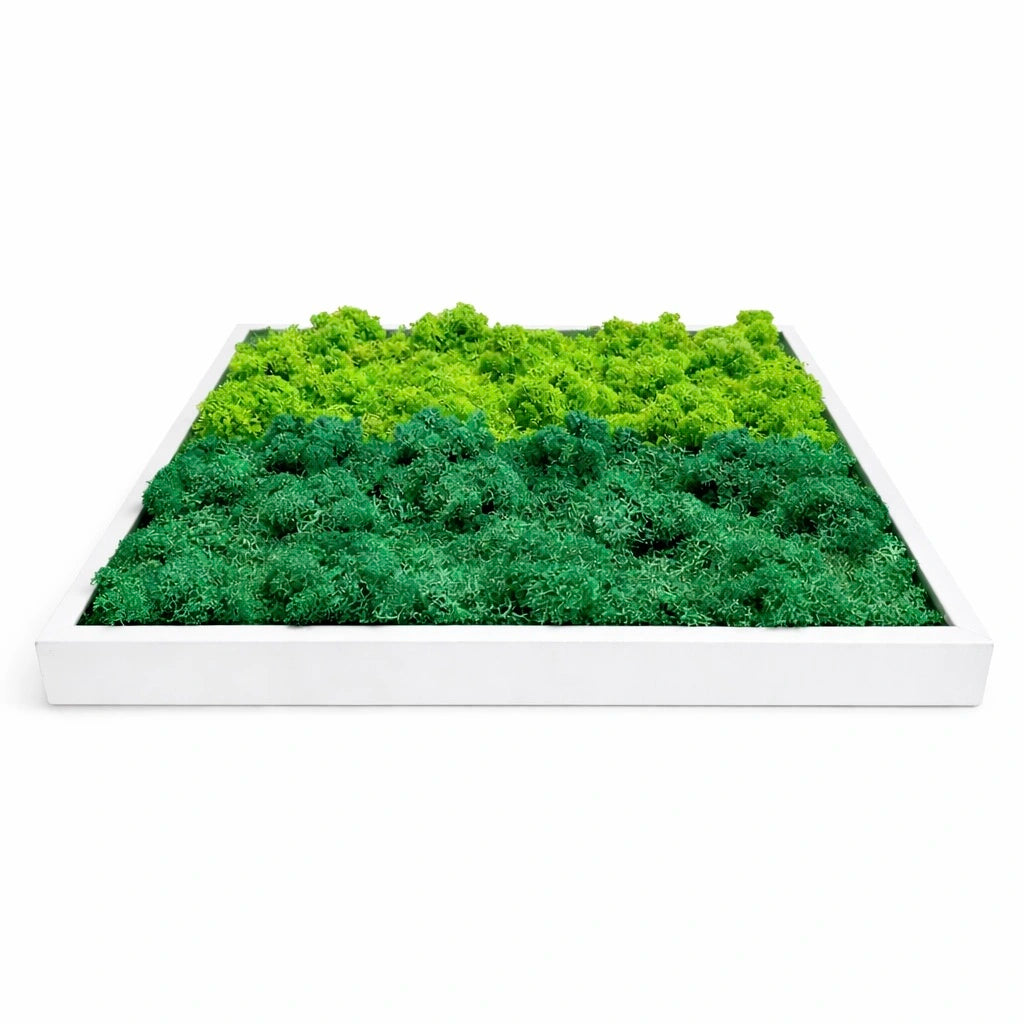 tableau végétal naturel stabilisé 