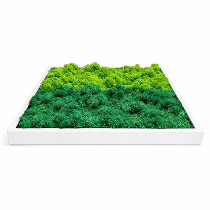tableau végétal naturel stabilisé 