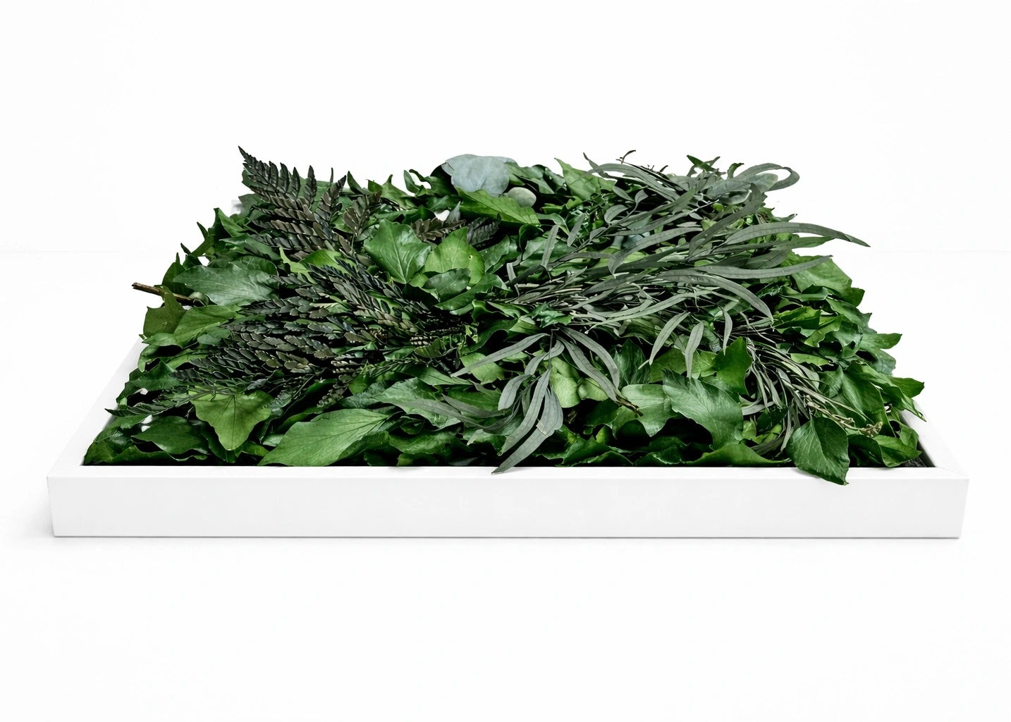 tableau végétal naturel stabilisé 