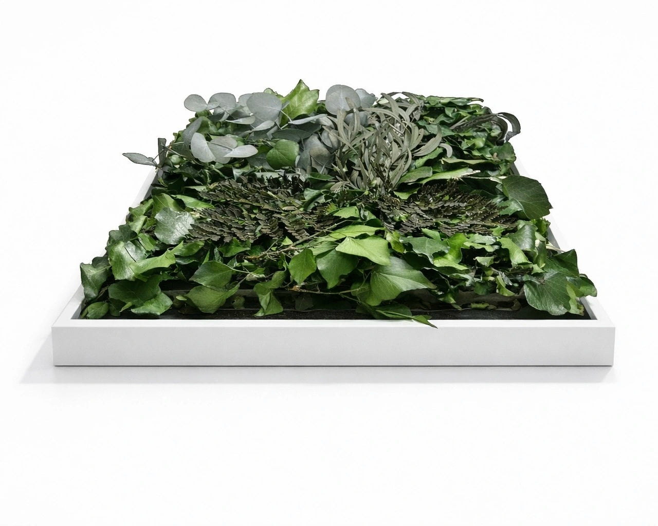 tableau végétal naturel stabilisé 