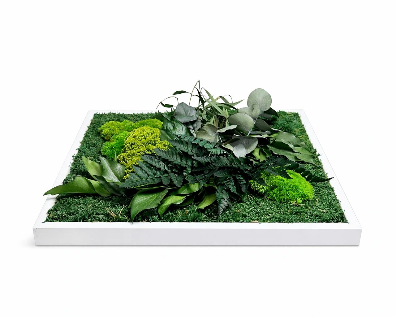 tableau végétal naturel stabilisé 