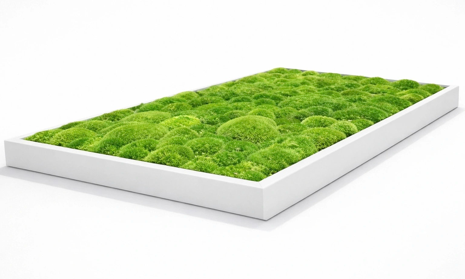 tableau végétal naturel stabilisé 