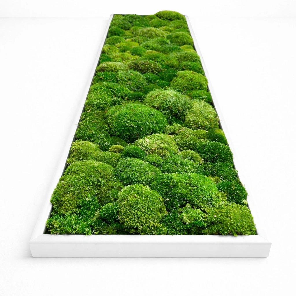 tableau végétal naturel stabilisé 